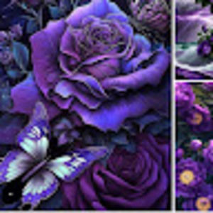 Meet your Posher, Michele